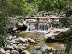 -陕西省红河谷森林公园