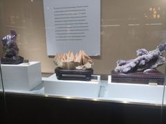 -抱璞文化展示中心