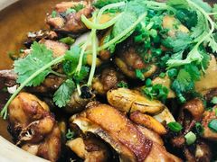 -广宁炭炉鸡煲·富临门饭店