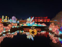 -淄博花灯齐彩城