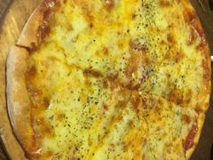 -百好乐宠物友好餐厅(朝外大街店)