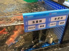 -东海怡品海鲜豆捞(舟宿夜江店)