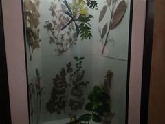 -广州神农草堂中医药博物馆