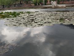 -西昌邛海湿地