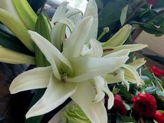 -嘉定凯悦·咖啡厅