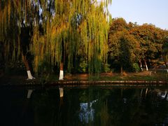 -尚贤河湿地