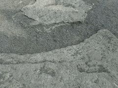 android_upload_pic-济南森林公园