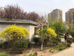 -丰台花园