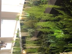 -Husky Go! 哈士奇体验馆·宠物咖啡厅狗咖