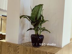 -boundaries籬苑(瑞光创意工厂-贰号院店)