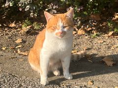 -东华大学(松江校区)