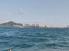 -小猫钓鱼海钓俱乐部(椰梦长廊店)