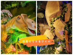 -恐龙探索乐园(磁器口店)