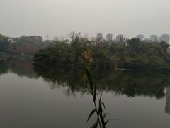 -重庆彩云湖湿地公园