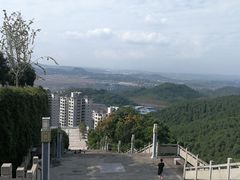 -铁山坪森林公园