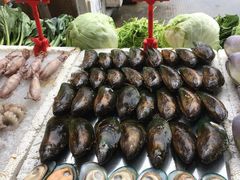 -蚝专家(北滘店)