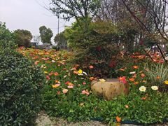-映月湖中央公园