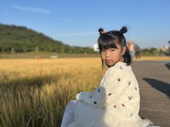 -艾米稻香小镇