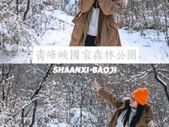 -青峰峡国家森林公园