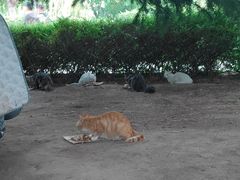 -海底捞火锅(邯郸新世纪中心店)