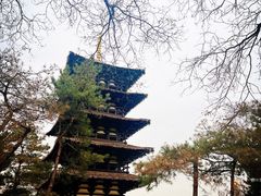 -北京世界公园