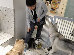 -Husky Go!哈士奇体验馆·宠物咖啡厅狗咖