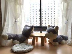 -Husky Go! 哈士奇体验馆·宠物咖啡厅狗咖