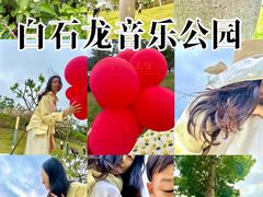 -白石龙音乐公园