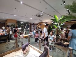 -造物庄园 萌宠纪(苏州湾歌林公园店)
