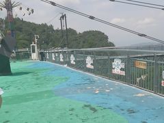 -梦幻奥陶纪景区