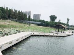 -桐乡凤凰湖