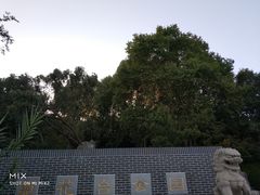 -菊花台公园