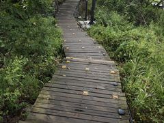 -帽儿山国家森林公园