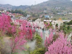 -玫瑰庄园·自助烧烤·烤全羊·团建拓展(龙泉山店)