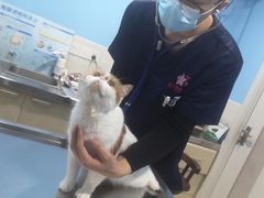 -哆趣宠物医院·眼科·内镜·急重症转诊中心(上海店)