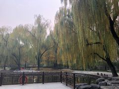 -玲珑塔公园