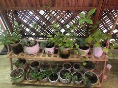 -茶百道(呼家楼店)