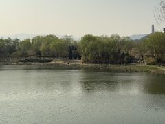 -北坞公园