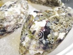 法国吉拉多0号-三喜鲜生(明致商厦店)
