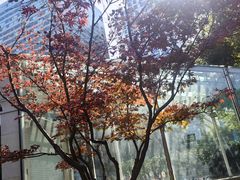 -中山公园