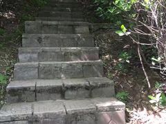-盛世牡丹苑生态文化旅游区