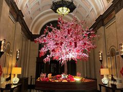-上海和平饭店 Fairmont Peace Hotel