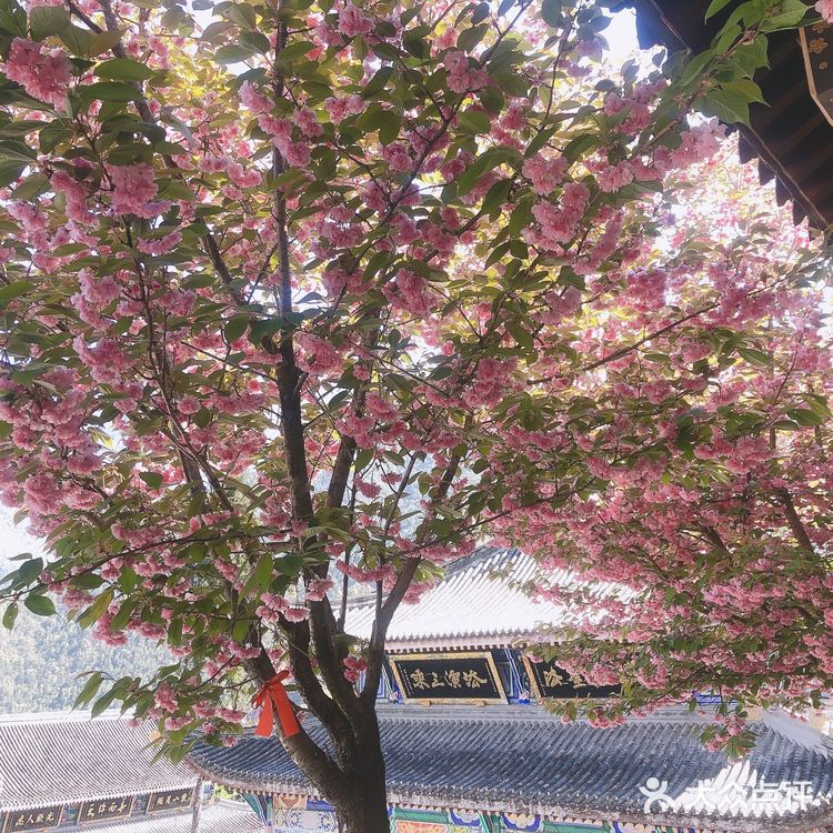 灵山寺 一座藏在深山里的寺庙
