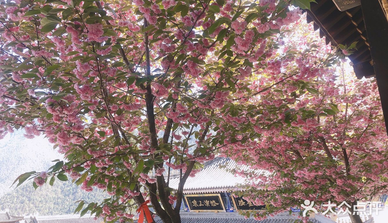 灵山寺 一座藏在深山里的寺庙