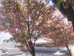 -冕宁灵山寺