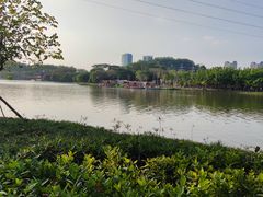 -顺峰山公园