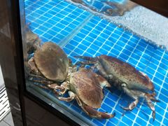 水产区-七鲜超市(通州ONE店)