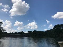 -河川生态园