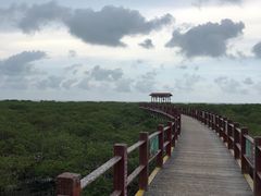 -北海金海湾红树林生态旅游区