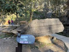 -梭布垭石林景区